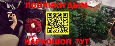 гидра Гагарин