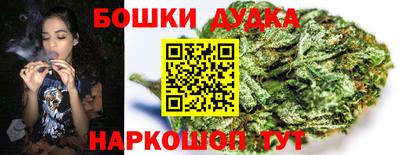гидра Гагарин