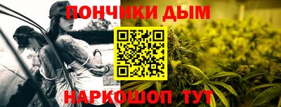 гидра Гагарин