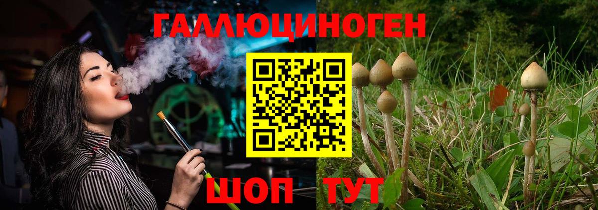 Галлюциногенные грибы GOLDEN TEACHER Нальчик