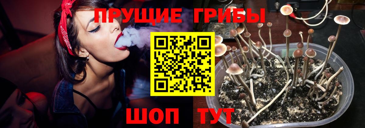 Псилоцибиновые грибы мухоморы  Вход с VPN  Галлюциногенные грибы Magic Shrooms  Нальчик 